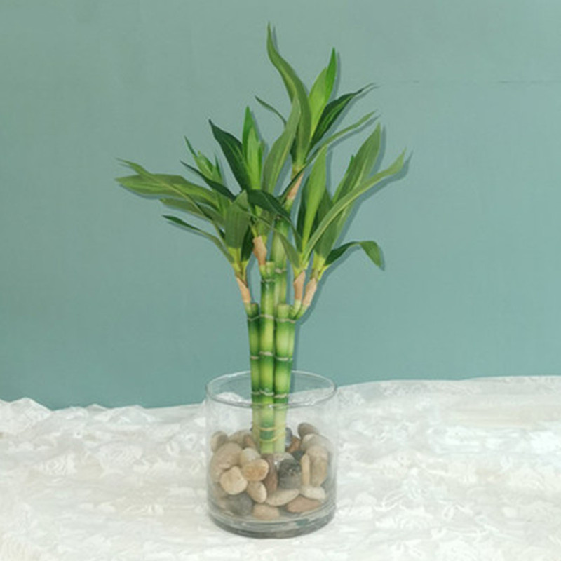 Nowy 40cm rFtificial Lucky Bam – Desk Setup Plants recenzja i cena