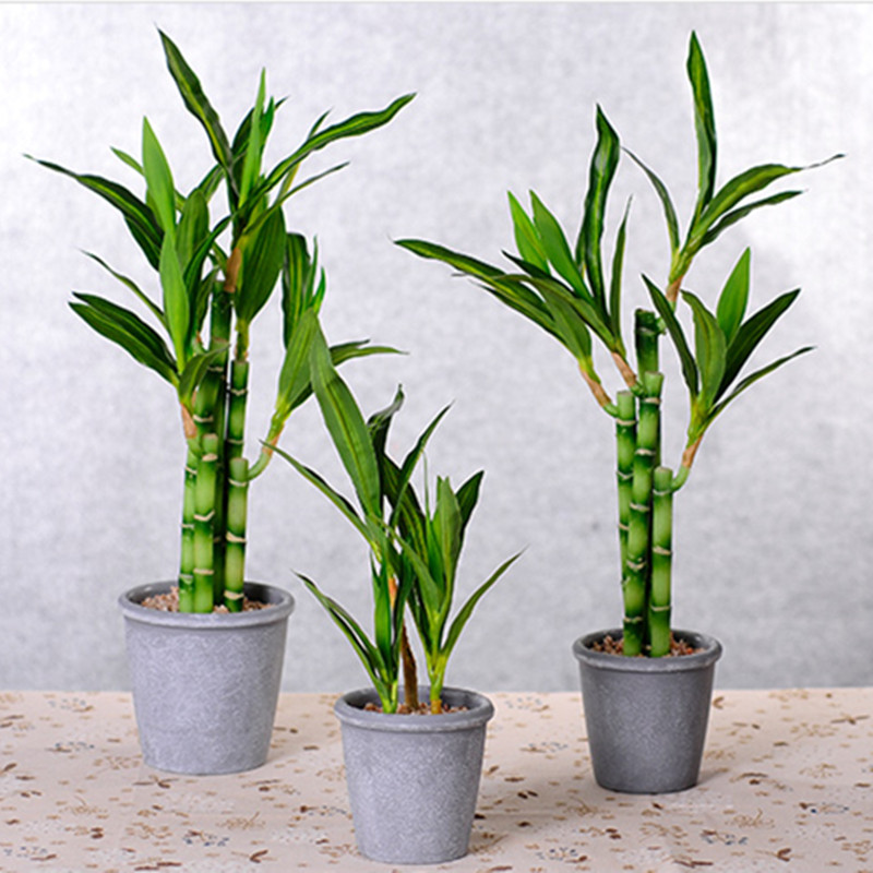 Nowy 40cm rFtificial Lucky Bam – Desk Setup Plants recenzja i cena