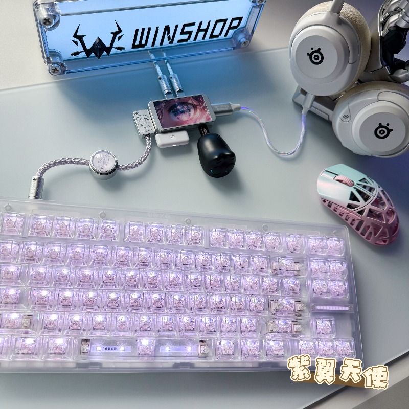 WINSHOP Esports HUB Dual-In 4- – Desk Setup Accessories Aesthetic recenzja i cena