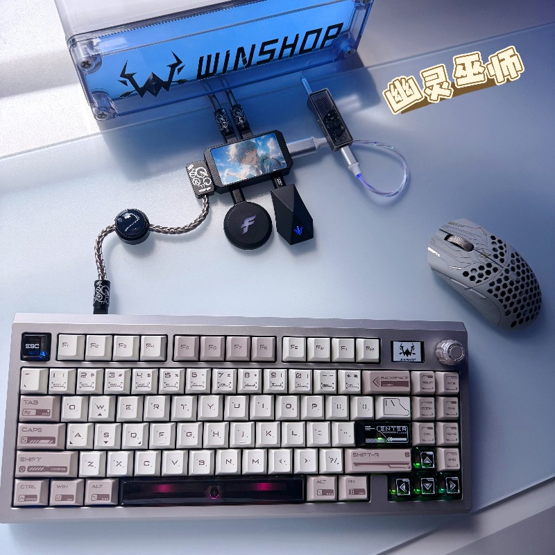 WINSHOP Esports HUB Dual-In 4- – Desk Setup Accessories Aesthetic recenzja i cena